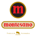 http://www.pnh-group.com.hk/wp-content/uploads/2017/07/montesano-logotipo-e1500572095666.png